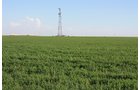 Property photo 52 - LAND AUCTION, 3255+/- Acres offered in 13 Tracts